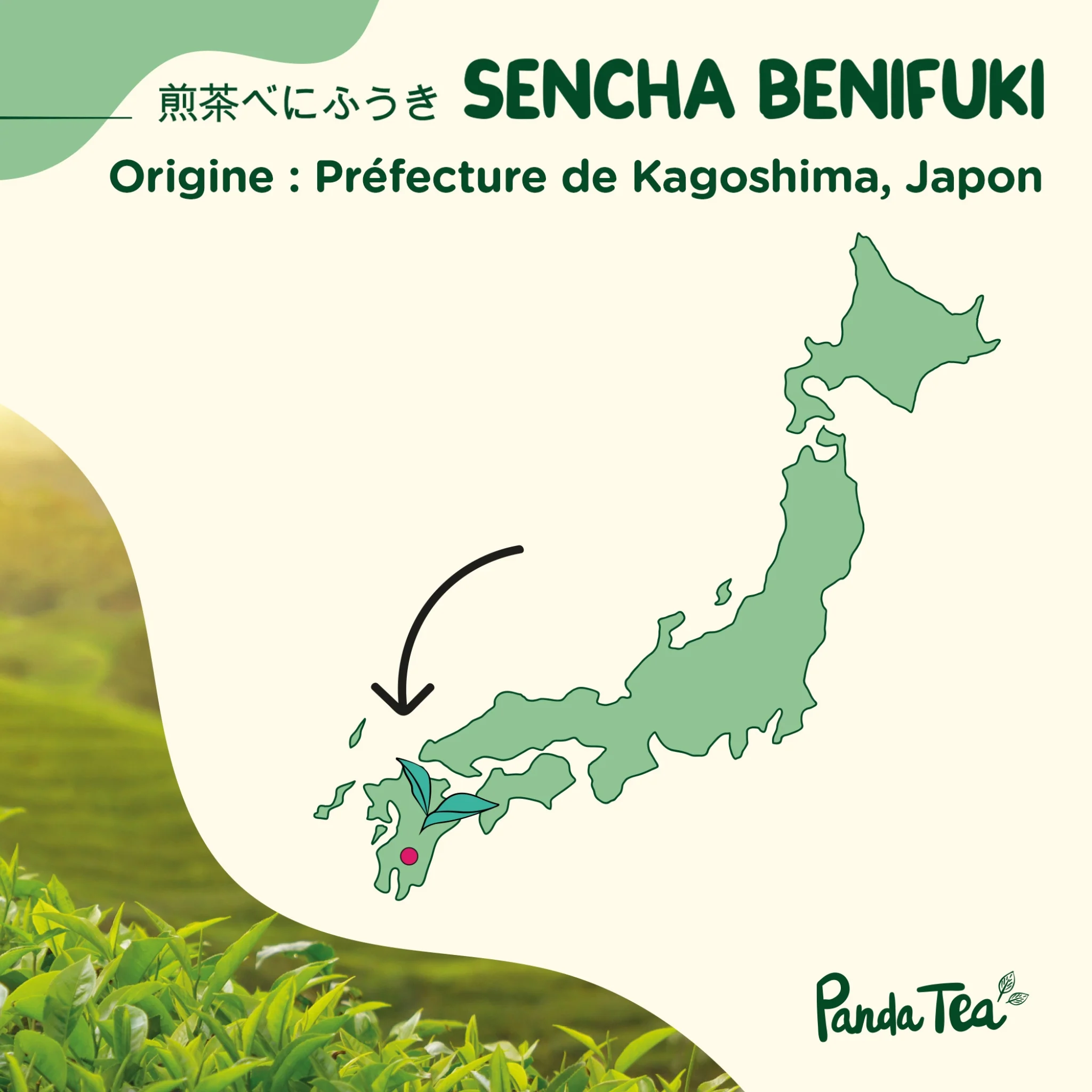 Benifuki Black Bio - Image 5