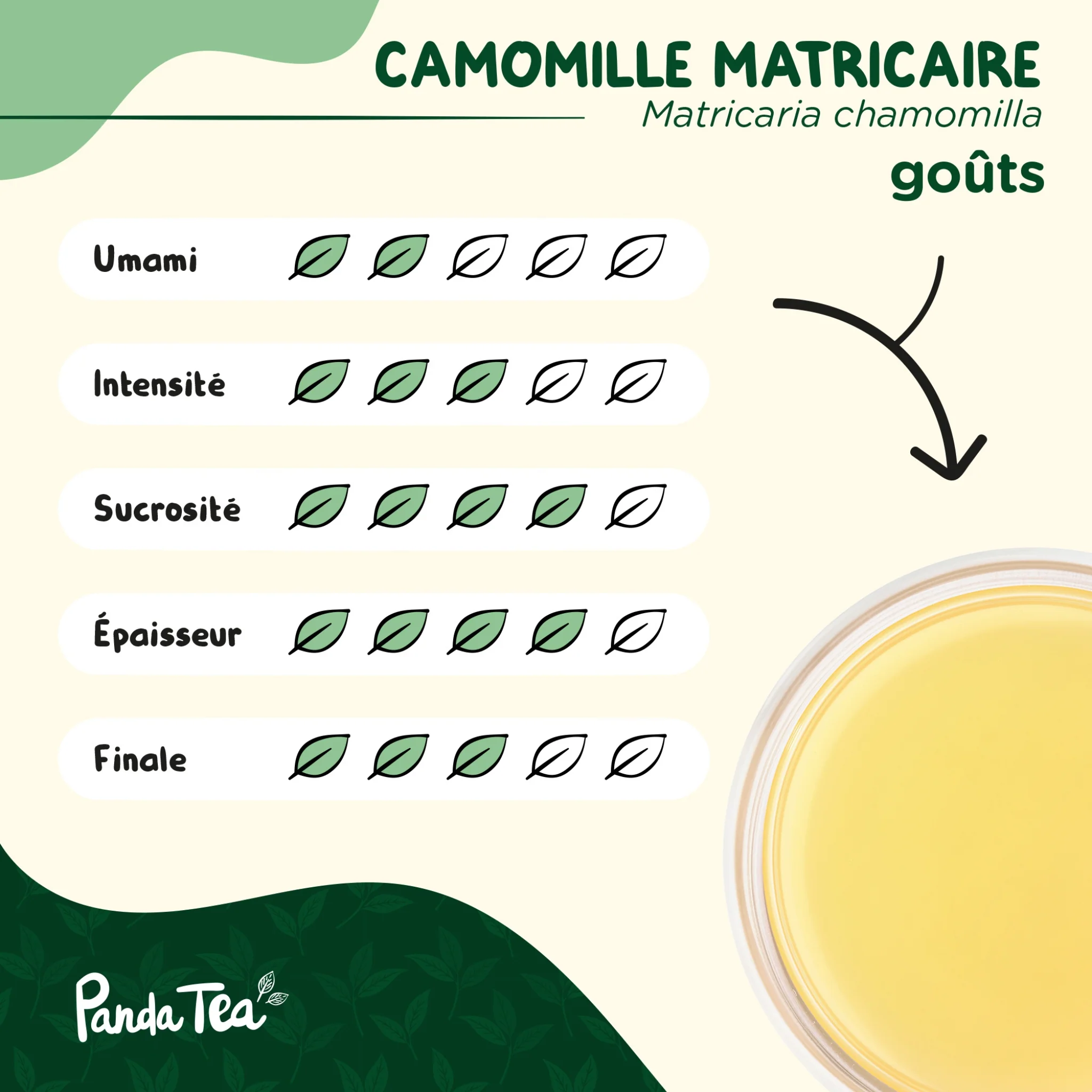 Camomille Matricaire Séchée Bio - Image 6
