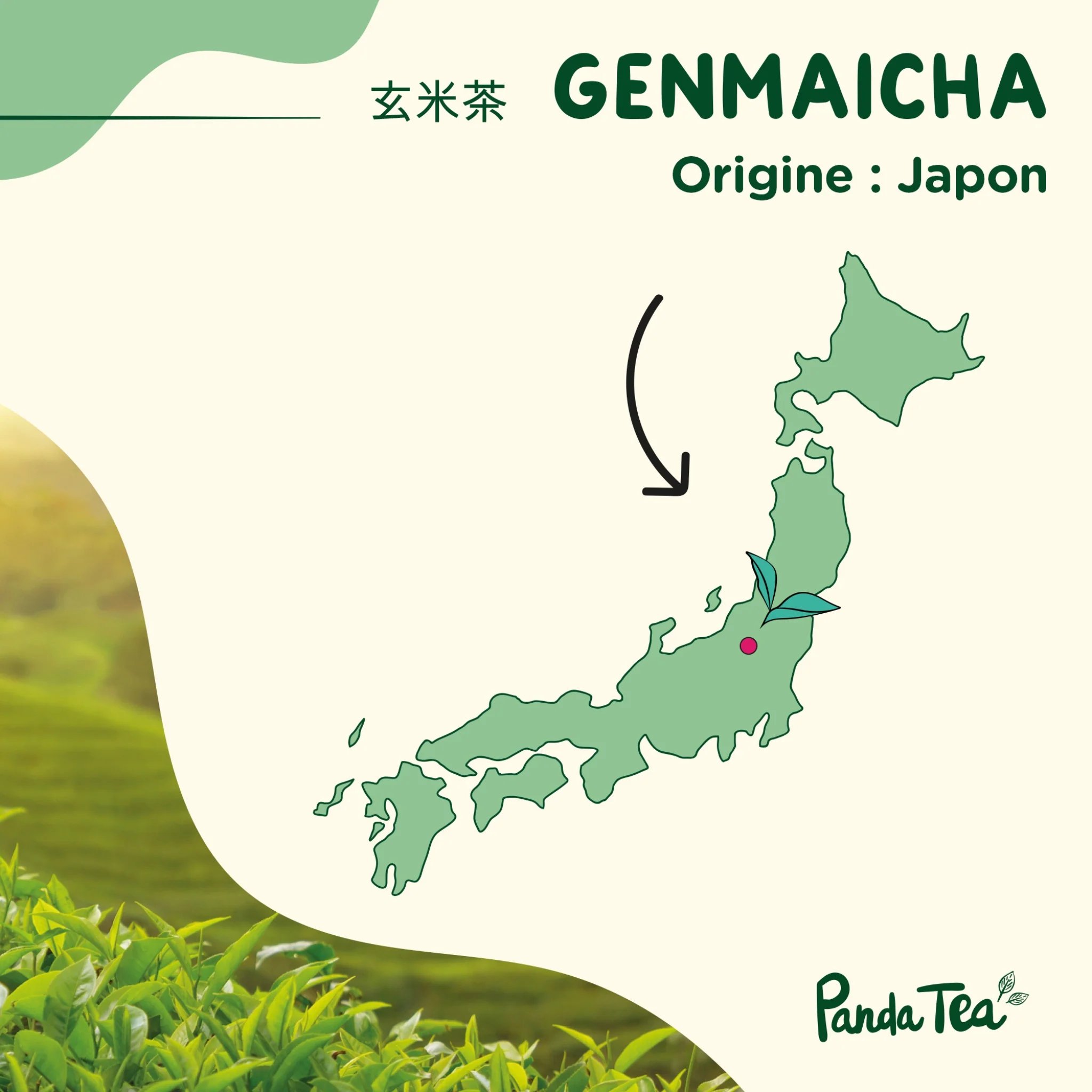 Genmaicha Bio - Image 5
