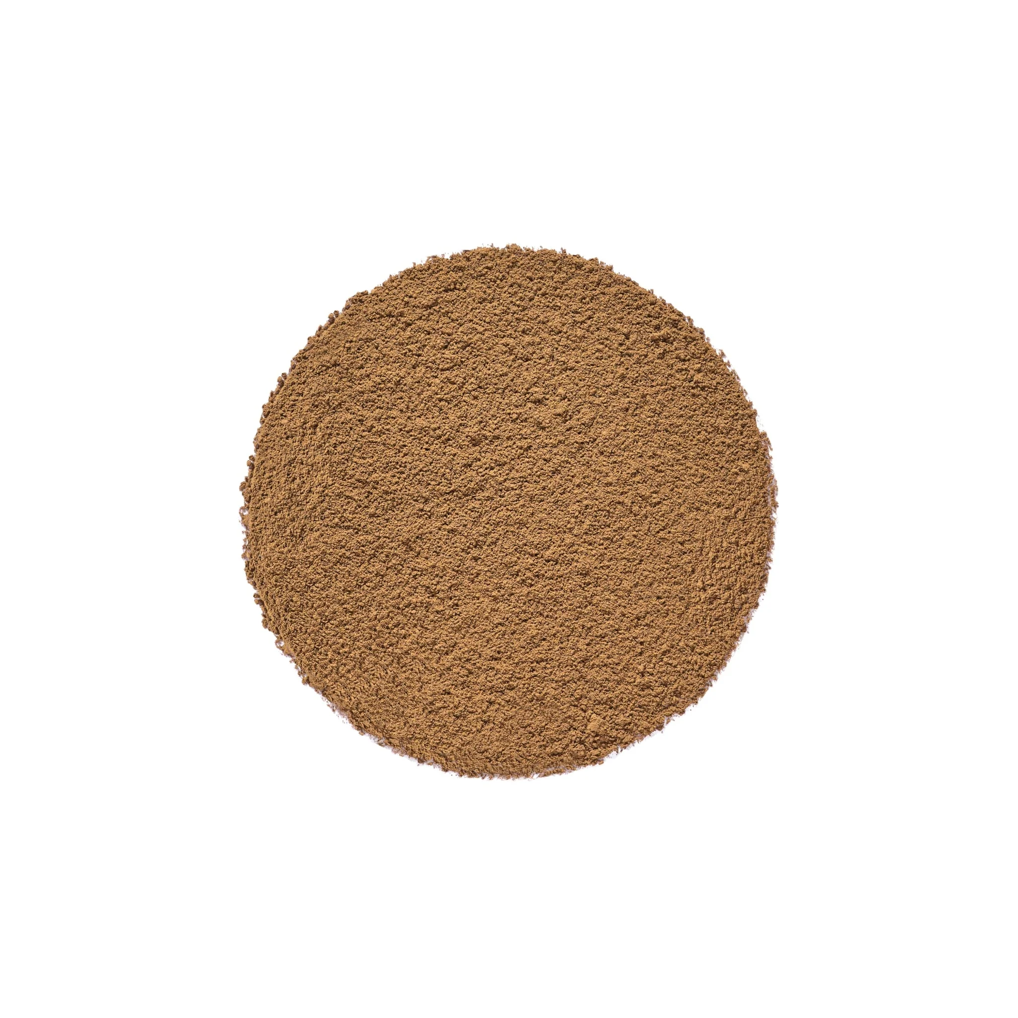 Hojicha Bio en Sticks - Image 5