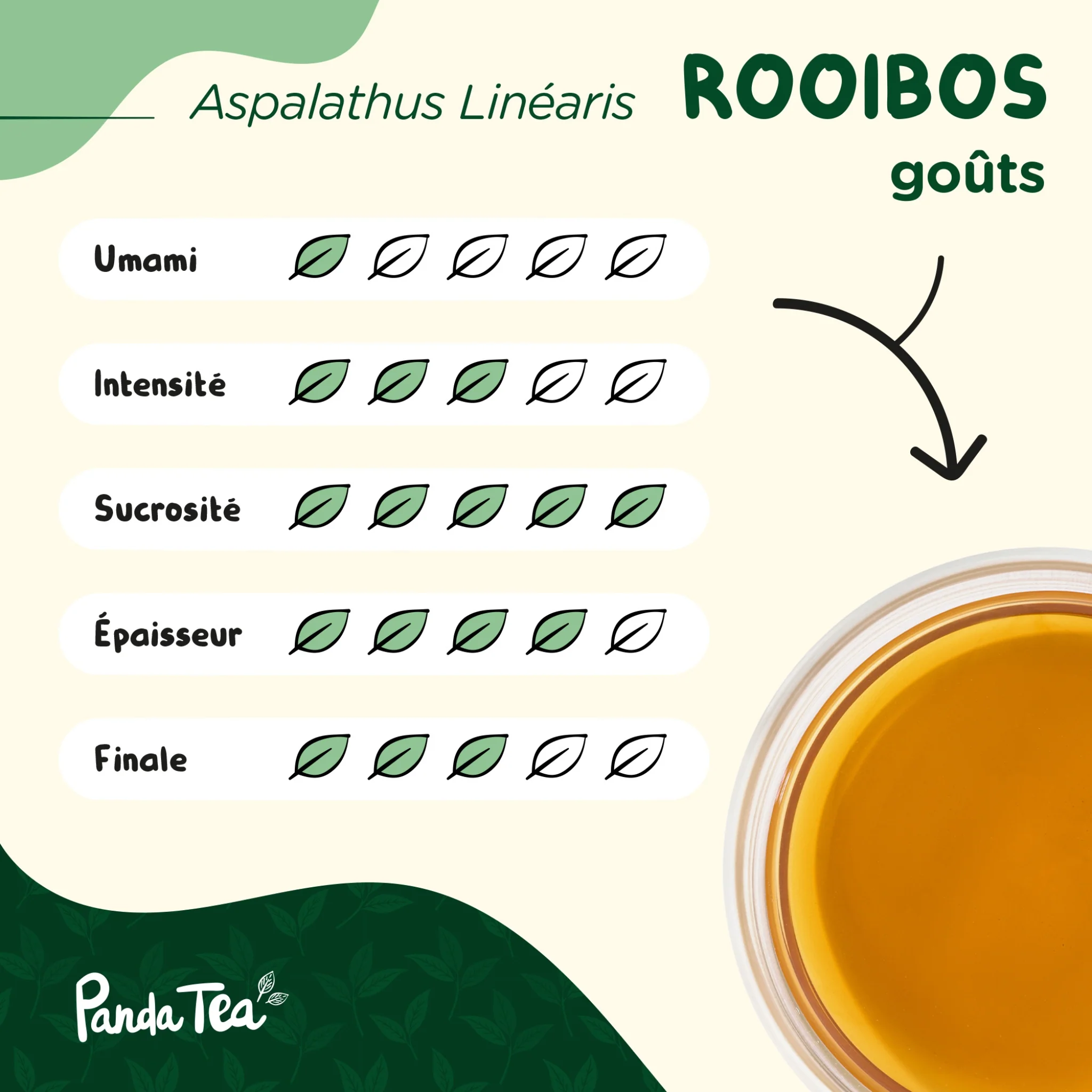 Rooibos Bio - Image 6