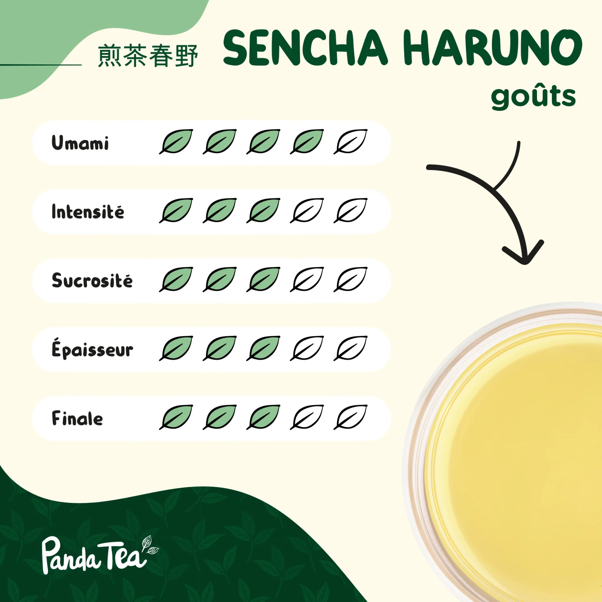 Sencha Haruno Bio - Image 6